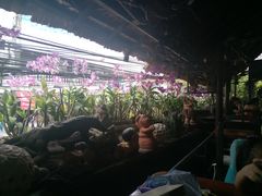 -自然餐厅(Phuket)