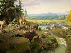 -陕西自然博物馆