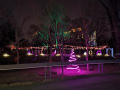 -枫花园汽车电影院(朝阳公园店)