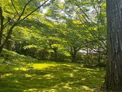 -三千院