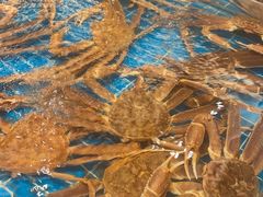 -新丁香海鲜酒店(银海商贸城店)