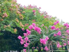 -杭州城北体育公园