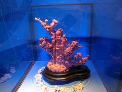 -绮丽珊瑚(台北101旗舰门市店)