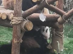 -五龙山野生动物王国