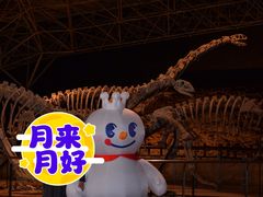 -世界恐龙谷景区