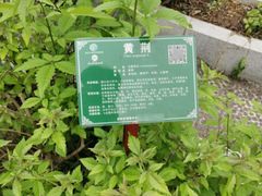 -广西壮族自治区药用植物园