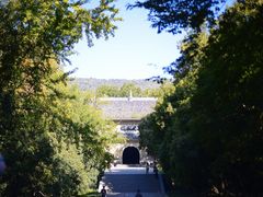 -灵谷景区
