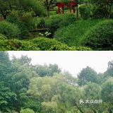 我已加入下次来吃的必点清单