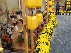 -梅利汴京烤鸭•开封豫菜地标店(东大街店)