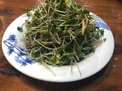 酸甜萝卜苗-俏东方·海味水饺·青岛菜(崂山店)