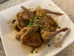 【金奖】沙姜乳鸽-百利鸽王(紫薇路店)