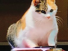 -天一朴素(武汉大学店)