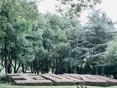 -玉山公园