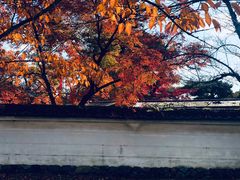 -醍醐寺