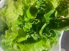 云南生菜-胖记烤肉(江汉路店)