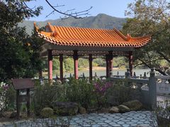 -深圳仙湖植物园