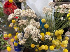 -大自然花鸟鱼虫市场