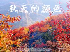 -周口店坡峰岭风景区