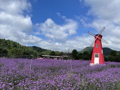 -名花谷生态庄园