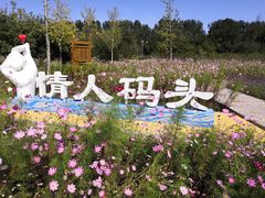 -东郊湿地公园