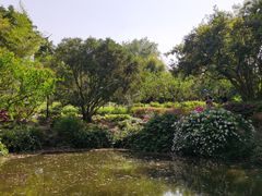 -汇龙潭