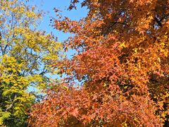 -白塘生态植物园