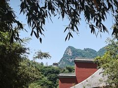 -沣峪口