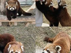 -水上乐园·欢乐世界