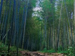 -北京西山国家森林公园