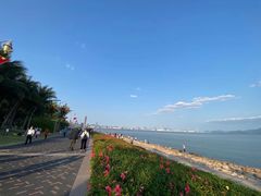 -深圳湾公园(南山区)