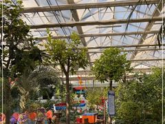 -南宫五洲植物乐园