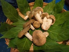 -大理实力希尔顿酒店•御玺中餐厅