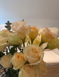 -Dr.林醫生产后修复·配方产康店(南京大厂店)