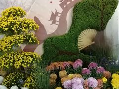 -杭州植物园