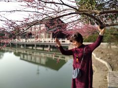 -苏州太湖国家湿地公园