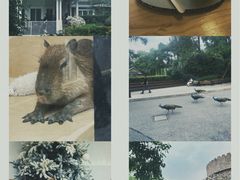 -J Create城市露营咖啡·简餐·宠物(上海动物园店)