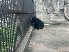 -南昌动物园