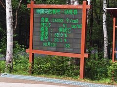 -汤旺河林海奇石景区