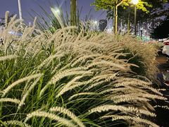 -怡海公园(桂城街道)