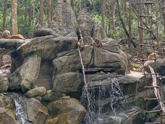 -普洱太阳河森林公园