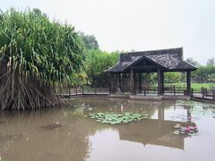 -中国科学院西双版纳热带植物园