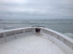 -西涌国际滨海旅游区