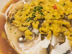 -庐州太太(信地店)