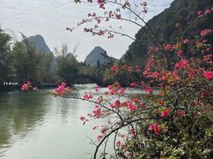 -靖西鹅泉风景区