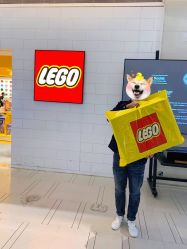 -乐高授权专卖店(南开大悦城店)