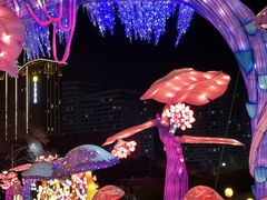 -沈阳奥体冰雪嘉年华