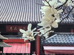 -灵谷景区