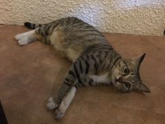 -逃脱反斗城沉浸剧情密室(北京路店)