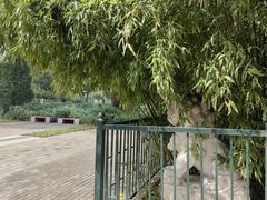-北坞公园