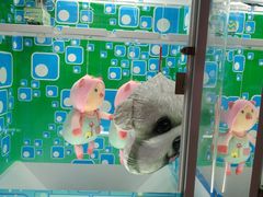 -爱玩嘉年华(龙湖杭州金沙天街店)